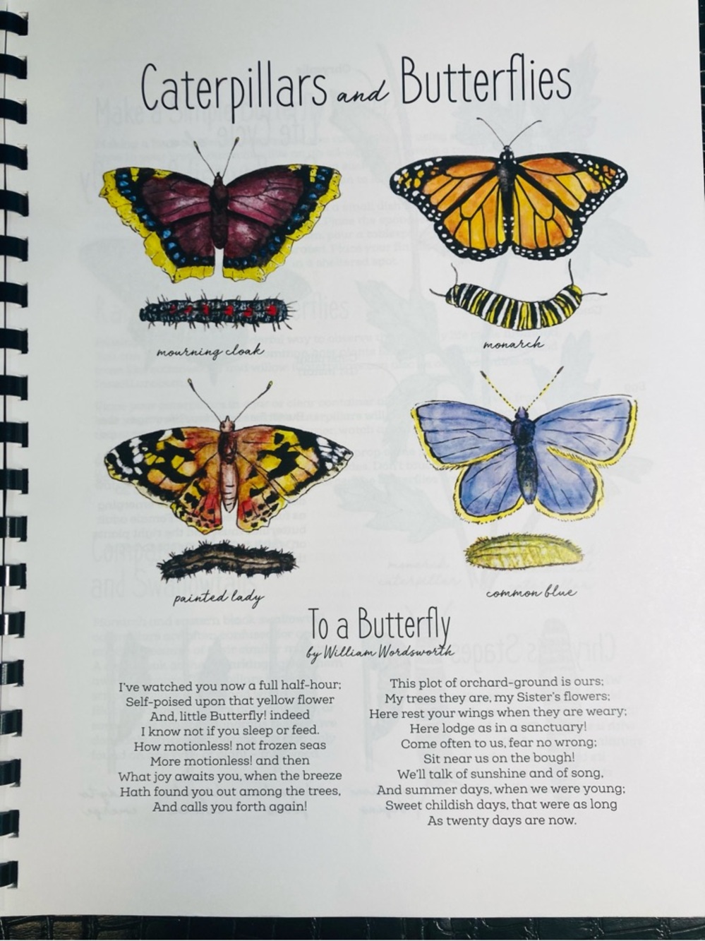 NEW The Seasons Nature Journal The Wild Child’s … 2021 Natalie McCatty - Picture 4 of 14